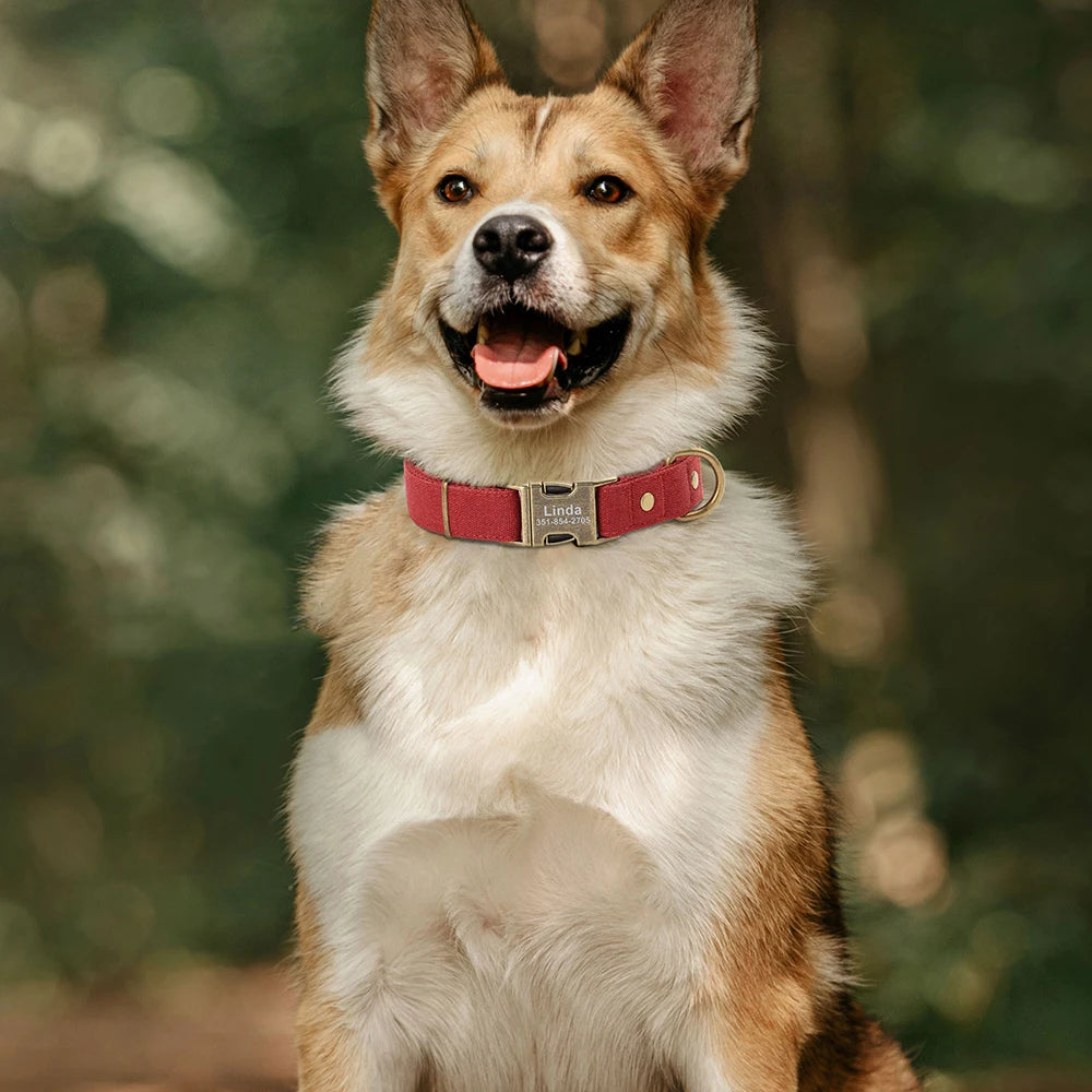 Kişiselleştirilebilir Köpek Tasması | Özel İsim Baskılı | Naylon | S/M/L