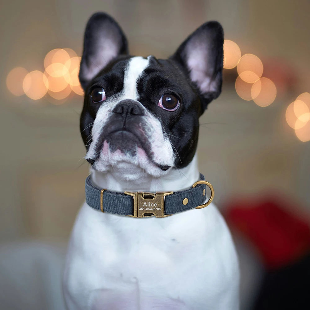 Kişiselleştirilebilir Köpek Tasması | Özel İsim Baskılı | Naylon | S/M/L